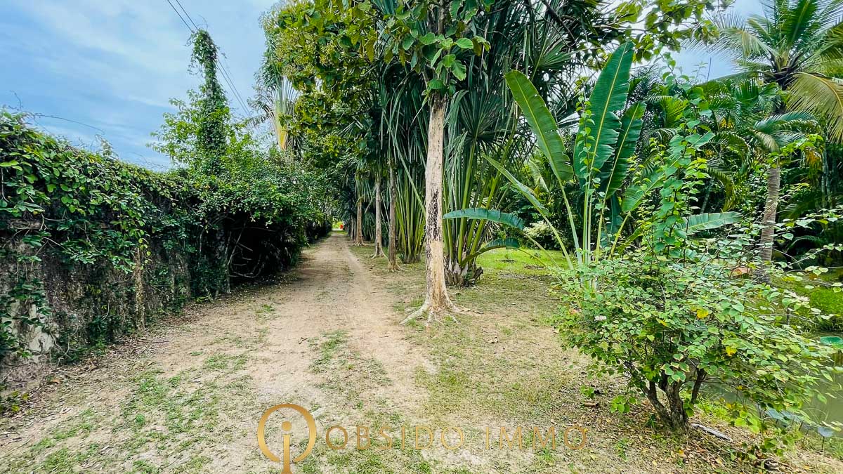 Obsido – Achat immobilier – Hua Hin – Jardin Botanique-02