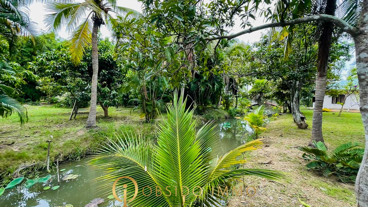Obsido – Achat immobilier – Hua Hin – Jardin Botanique-04