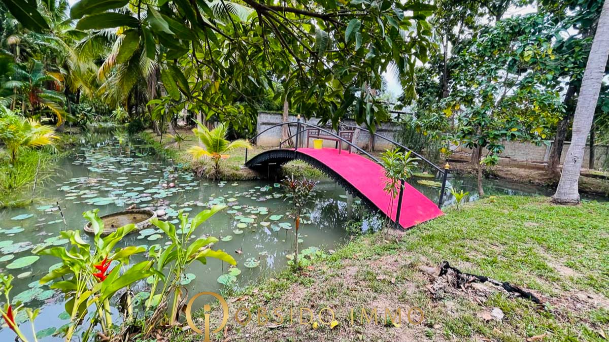 Obsido – Achat immobilier – Hua Hin – Jardin Botanique-06