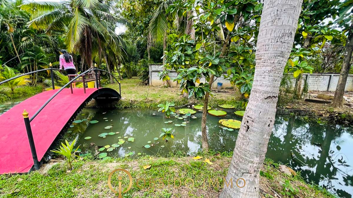 Obsido – Achat immobilier – Hua Hin – Jardin Botanique-16