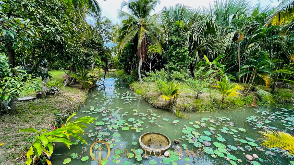 Obsido – Achat immobilier – Hua Hin – Jardin Botanique-20