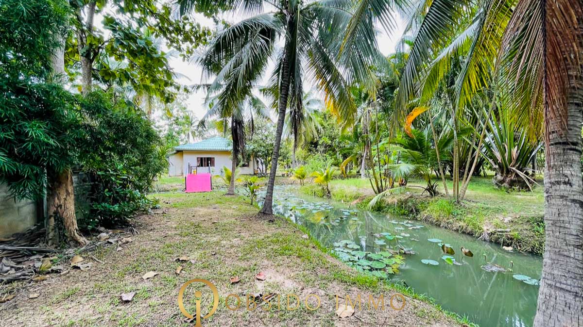 Obsido – Achat immobilier – Hua Hin – Jardin Botanique-22
