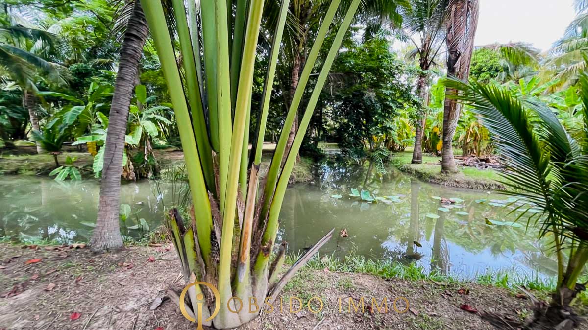 Obsido – Achat immobilier – Hua Hin – Jardin Botanique-24